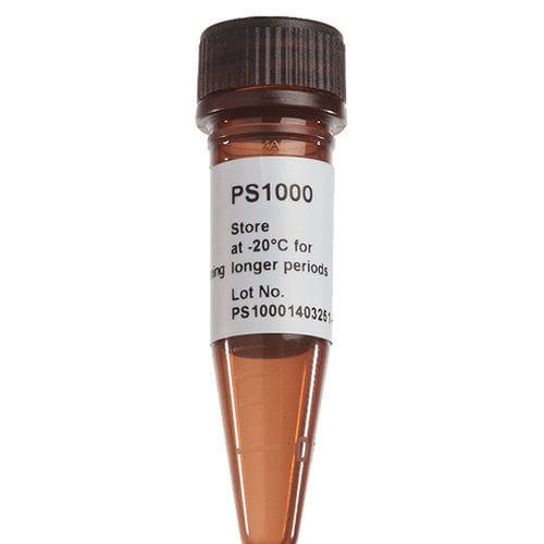 Reactivo solución de coloración - FluoroStain™ - SMOBIO Technology, Inc. - colorante / para microbiología / de proteínas