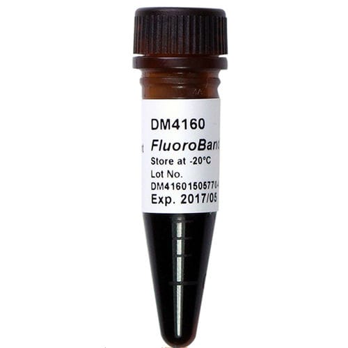 Escalera de ADN - FluoroBand™ - SMOBIO Technology, Inc. - enzima / para extracción de ADN / de pH
