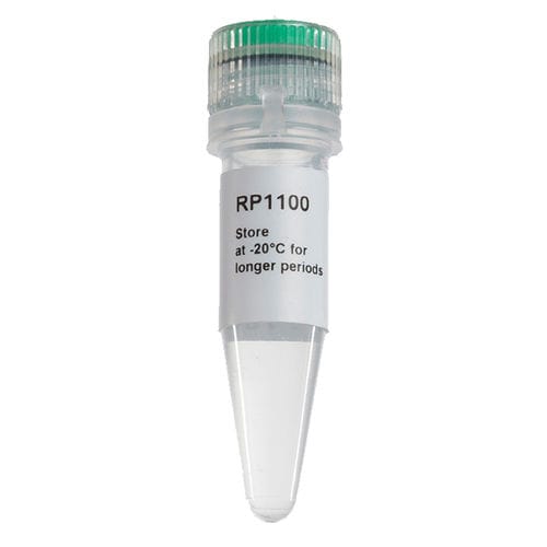 Reactivo enzima - ExcelRT™ - SMOBIO Technology, Inc. - para PCR / para RT-PCR