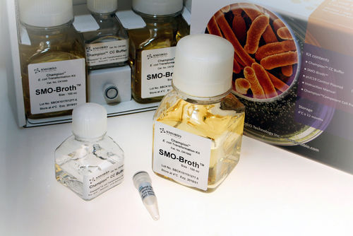 Kit de prueba para enfermermedades infecciosas - Champion™ - SMOBIO Technology, Inc. - Escherichia coli / de células