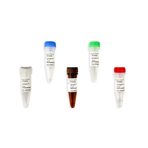 Kit de reactivos enzima - IdPath™ - SMOBIO Technology, Inc. - clínico / para la investigación / de laboratorio