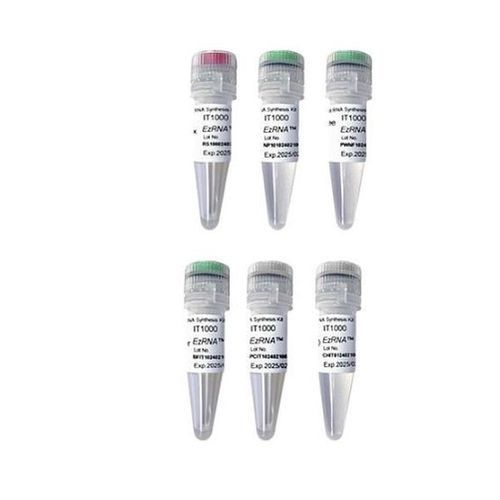 Kit de reactivos enzima - EzRNA™ T7  - SMOBIO Technology, Inc. - para transcripción in vitro / para síntesis del ARN / de cloruro