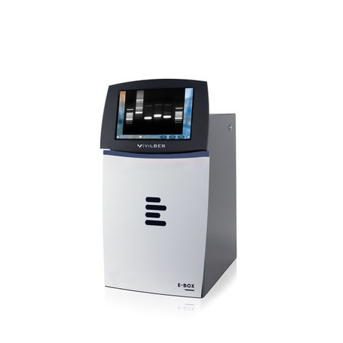 Sistema de documentación en gel por fluorescencia - E-BOX - Vilber GmbH - para ADN / para ARN / con software de gestión