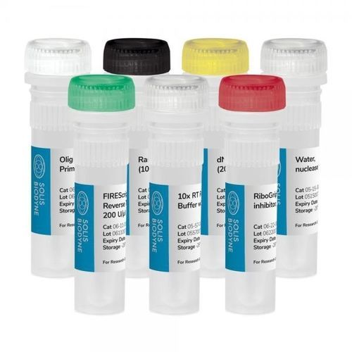 Kit de reactivos en solución - FIREScript® RT cDNA synthesis KIT - Solis BioDyne - enzima / inhibidor de RNasa / de laboratorio