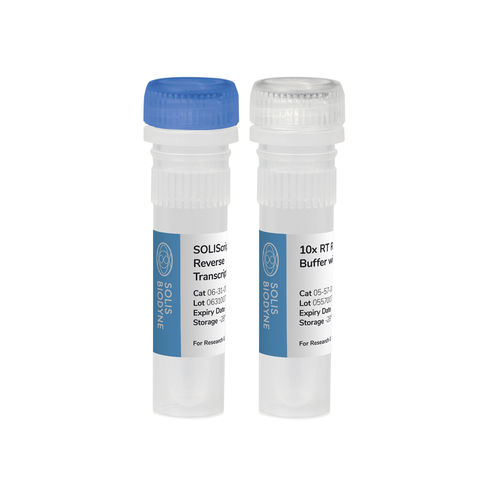 Kit de reactivos en solución - SOLIScript® KIT - Solis BioDyne - enzima / de diagnóstico / para la investigación