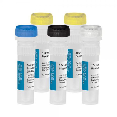 Kit de reactivos ADN polimerasas - SoliSD™ Lyo-compatible Bsm DNA Polymerase Kit - Solis BioDyne - para amplificación isotérmica