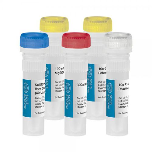 Kit de reactivos ADN polimerasas - SoliSD™ Lyo-compatible RT-LAMP Kit - Solis BioDyne - para amplificación isotérmica / kit LAMP