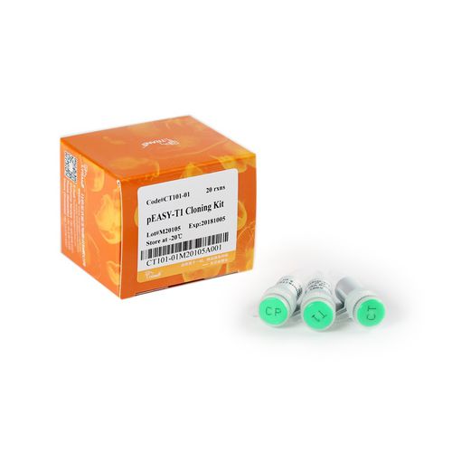 Kit de reactivos ampicilina - pEASY® -T1 - TransGen Biotech Co. - para secuenciación de ADN / para microbiología