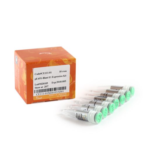 Kit de reactivos ampicilina - pEASY®-Blunt E1 - TransGen Biotech Co. - para secuenciación de ADN / para microbiología / de proteínas