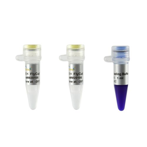 Reactivo enzima - FlyCut® SphI - TransGen Biotech Co. - para biología molecular / Escherichia coli