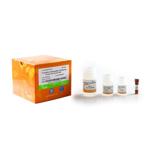 Kit de reactivos proteasa - ProteinExt® - TransGen Biotech Co. - para western blot / para prueba ELISA / de proteínas
