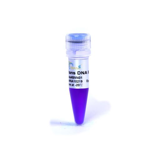 Reactivo gel de agarosa - Trans - TransGen Biotech Co. - escalera de ADN / para biología molecular / de ácidos nucleicos