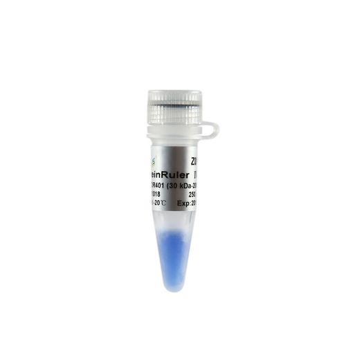 Reactivo en solución - ProteinRuler® IV - TransGen Biotech Co. - de electroforesis / de proteínas