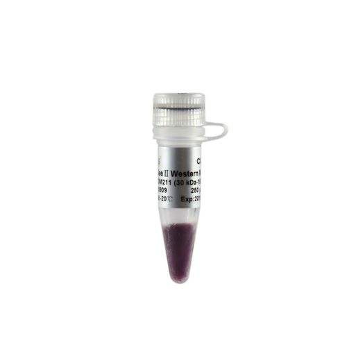 Reactivo en solución - EasySee® II - TransGen Biotech Co. - para biología molecular / para western blot / de proteínas