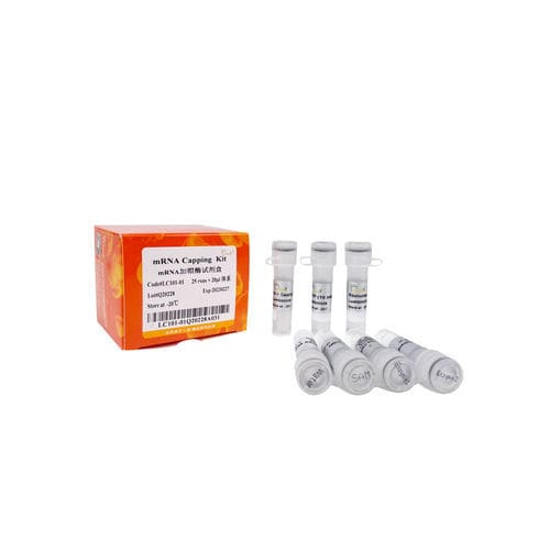 Kit de reactivos enzima - LC101-0 series - TransGen Biotech Co. - para transcripción in vitro / para virus / de enzimáticos