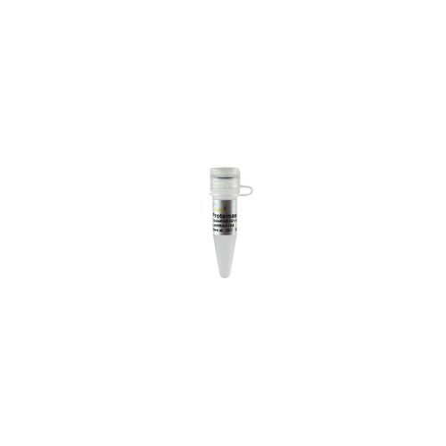 Reactivo proteasa - GE201-01 - TransGen Biotech Co. - proteinasa K / para extracción de ADN / para extracción de ARN
