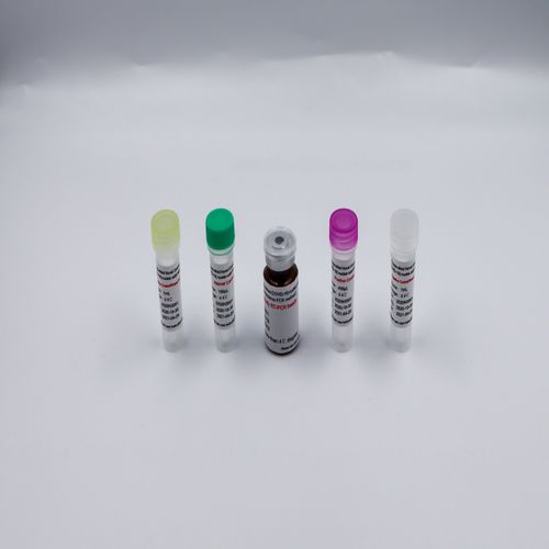 Kit de reactivos en solución - Bioteke Corporation - para la investigación / para PCR / de ácidos nucleicos
