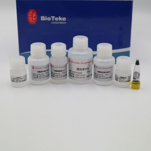 Kit de reactivos polimerasa Taq - AU17012 - Bioteke Corporation - para PCR / de ácidos nucleicos
