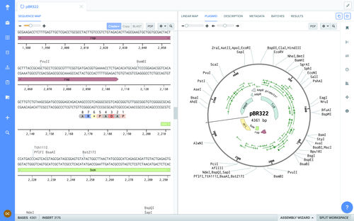 Software de registro - Benchling - de intercambio / de diseño / de biología molecular