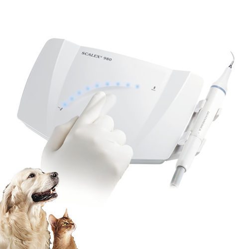 Escarificador dental piezoeléctrico - SCALEX® 980 - Apixia - endodóntico / veterinario / set completo