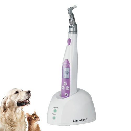 Pieza de mano veterinaria - MICROMAX® BRITE - Apixia - para profilaxis dental / de aire / directa