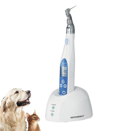 Micromotor dental veterinario - ENDOMAX® BRITE - Apixia - eléctrico / empotrable / sin cable