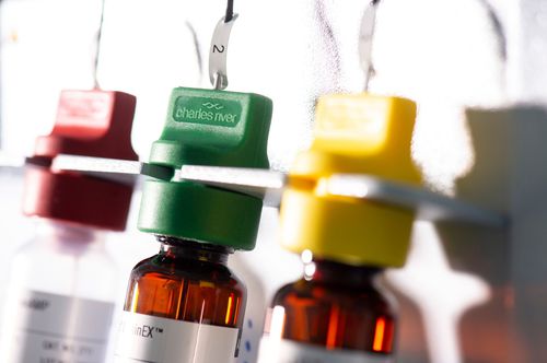 Reactivo enzima - Celsis®  - Charles River Laboratories - para microbiología / para preparación de pruebas / líquido