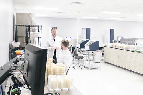Sistema de identificación bacteriana MALDI-TOF - AccuPRO-ID®  - Charles River Laboratories