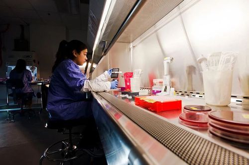 Secuenciador para ADN - AccuGENX-ID® - Charles River Laboratories - de laboratorio / análisis de datos