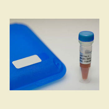 Reactivo anticuerpo monoclonal - mNeonGreen-Trap - Bulldog Bio, Inc. - enzima / para western blot / de proteínas