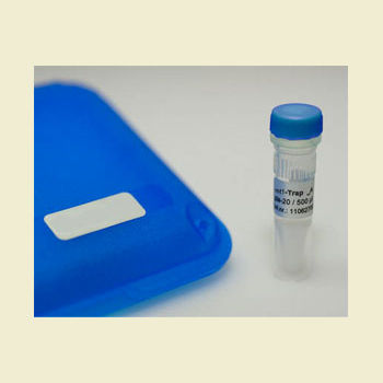 Reactivo anticuerpos - RFP-Trap A - Bulldog Bio, Inc. - de imágenes celulares / de bioquímica / de proteínas