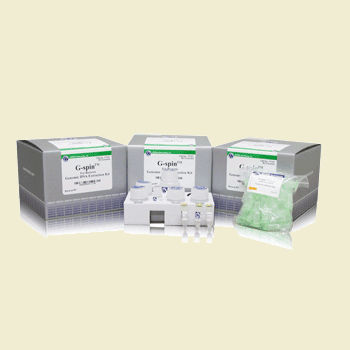 Kit de reactivos solución tampón - G-spin - Bulldog Bio, Inc. - de muestras de sangre / de tejidos / para extracción de ADN