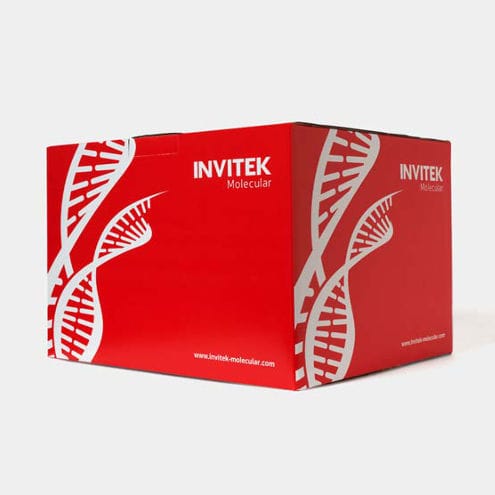 Kit de prueba para enfermermedades infecciosas - 1050100200 - Invitek Molecular - para COVID-19 / para ADN / SARS-COV-2