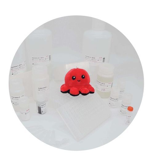 Kit de reactivos en solución - InviMag&reg; Universal Kit/ KF96 - Invitek Diagnostics - para extracción de ADN / para extracción de ARN / de diagnóstico