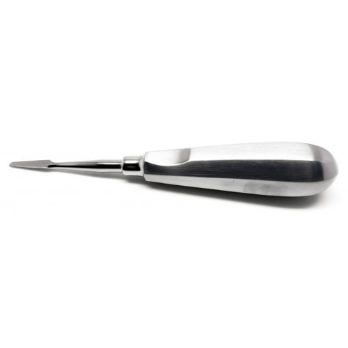 Elevador dental recto - TI-03-1016 - TRANSACT INTERNATIONAL