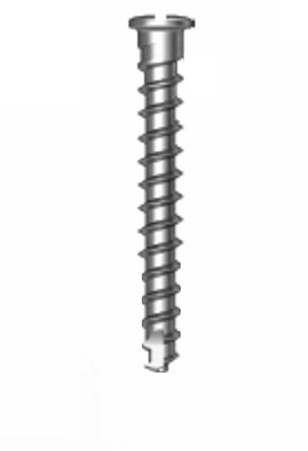 Tornillo de transfijación de titanio - Osstem Implant France - recto