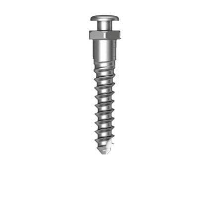 Miniimplante de titanio - Osstem Implant France - recto / de tornillo / de anclaje ortodóntico
