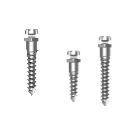 Miniimplante de titanio - Bracket Head - Osstem Implant France - interno / recto / de tornillo