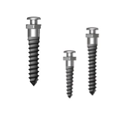 Miniimplante de titanio - Simple Head Half Etched - Osstem Implant France - recto / de tornillo / de anclaje ortodóntico