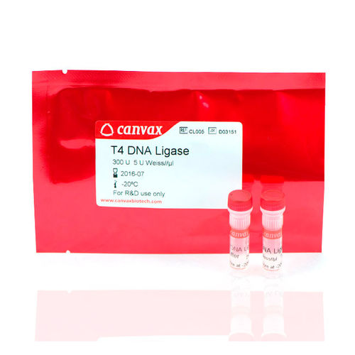 Kit de reactivos ADN ligasa - T4 - Canvax - de ácidos nucleicos / Escherichia coli