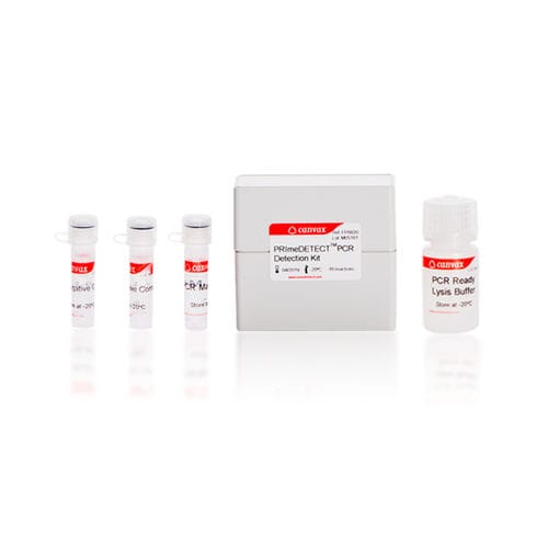 Kit de prueba de la enfermedad del legionario - PRImeDETECT™ - Canvax - para PCR en tiempo real