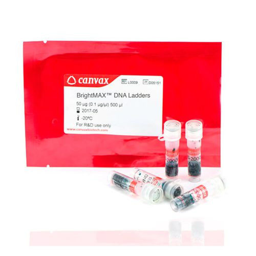 Kit de reactivos colorante - L00 series - Canvax - escalera de ADN / para la investigación / de ácidos nucleicos