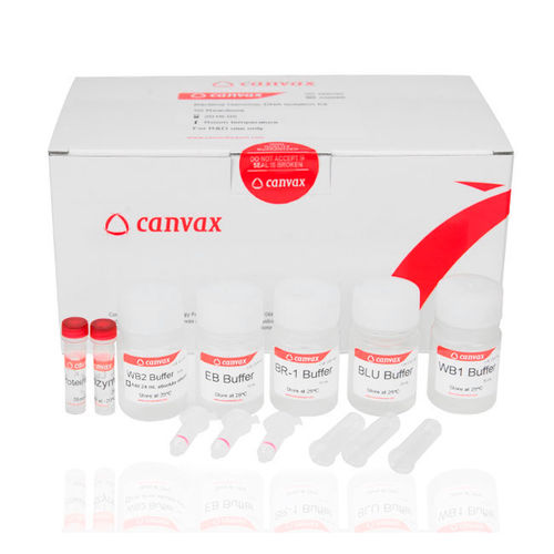 Kit de reactivos enzima - HigherPurity™ - Canvax - para biología molecular / de ADN genómico / para bacterias