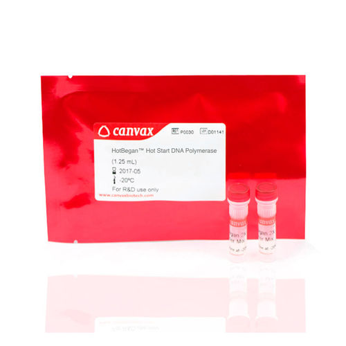 Kit de reactivos en solución - HotBegan™ - Canvax - polimerasa Taq / anticuerpos / para PCR en tiempo real
