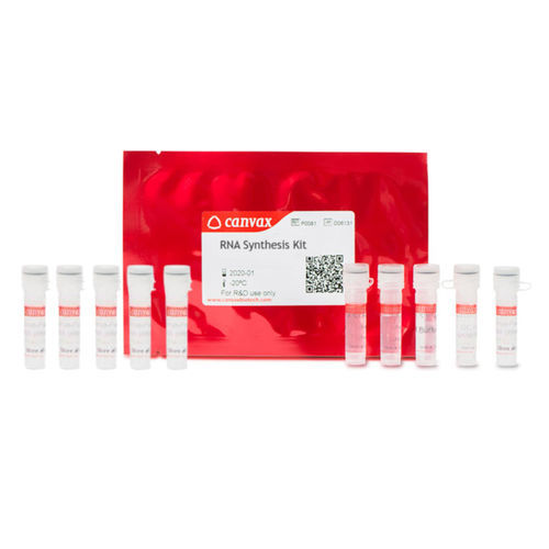 Kit de reactivos enzima - CVX™ - Canvax - inhibidor de RNasa / para la investigación / para el desarrollo de medicamentos