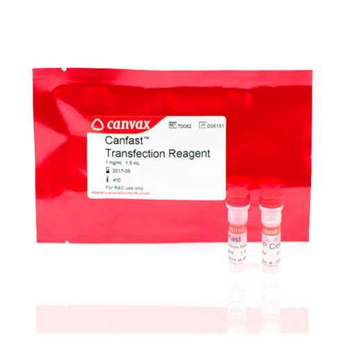 Kit de reactivos en solución - CANFAST™ - Canvax - para la investigación / para transferencia de ADN / para el desarrollo de medicamentos