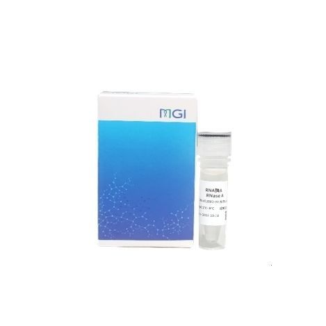 Reactivo enzima - 940-001646-00 - MGI Tech - ácido nucleico / inhibidor de RNasa / de proteínas