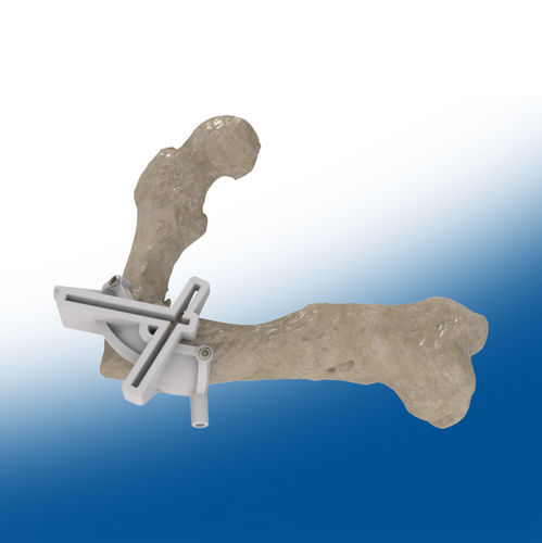 Modelo anatómico de fémur - Ortho Baltic - quirúrgico / de formación