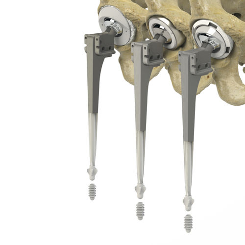 Prótesis de cadera de primera intención - 703 series - Zimed Medical - cementada
