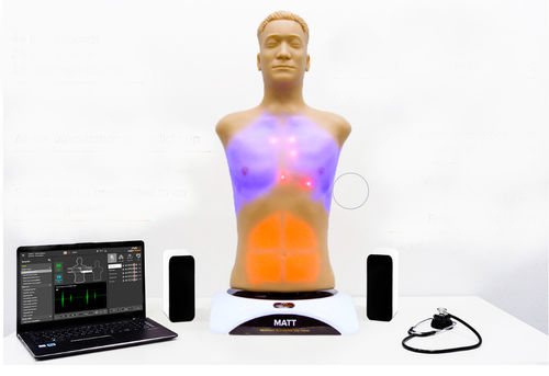 Simulador de auscultación - MATT - MedVision Group - ECG / para atención general / adulto